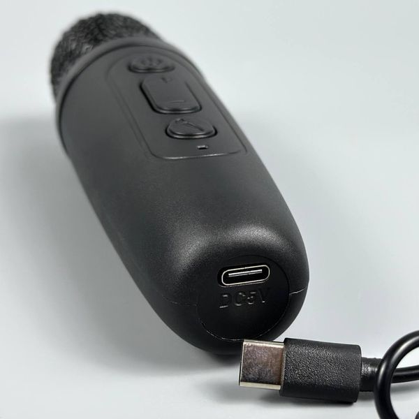 Колонка Sing-e ZQS1491W Mini RGB 10W, 1500mAh з 2ма мікрофонами (23,3*13,2*11,2 см) 60525 фото
