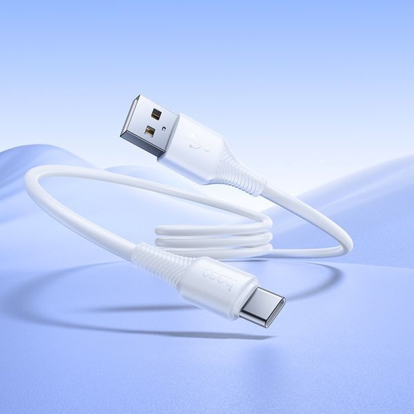 Data Cable Hoco X120 Beneficio Type-C 3A 1m 58688 фото