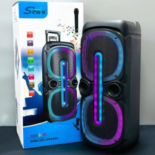 Колонка Sing-e ZQS10201 з RGB-підсвічуванням та мікрофоном 47227 фото