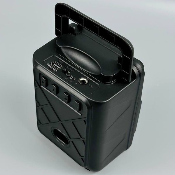 Колонка Sing-e ZQS1366 Mini RGB с микрофоном 8W, 1200mAh (16,1*11,9*10,0 см) 57784 фото